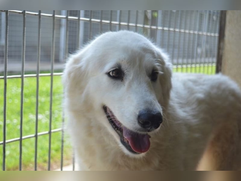 Amaya - So schön und so schrecklich?