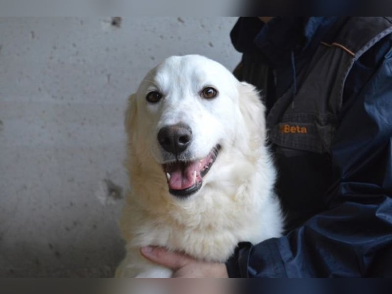 Meriwa - Doch nur wieder ein Kurzbesuch.....