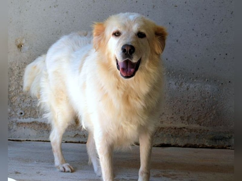 Skilah - Wenn Niemand zu Jemand wird