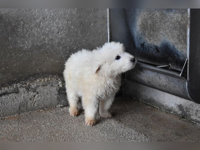 Clyro - Weiß jemand, was aufpassen eigentlich heißt ?