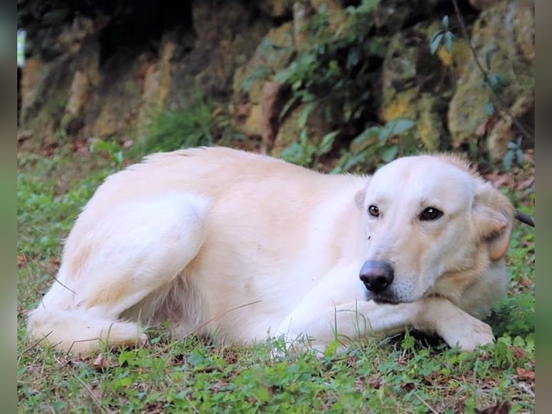 Yannick - eine zweite Kindheit?