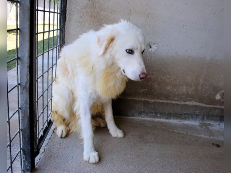 Fredrik - Was nach der Trennung kommt
