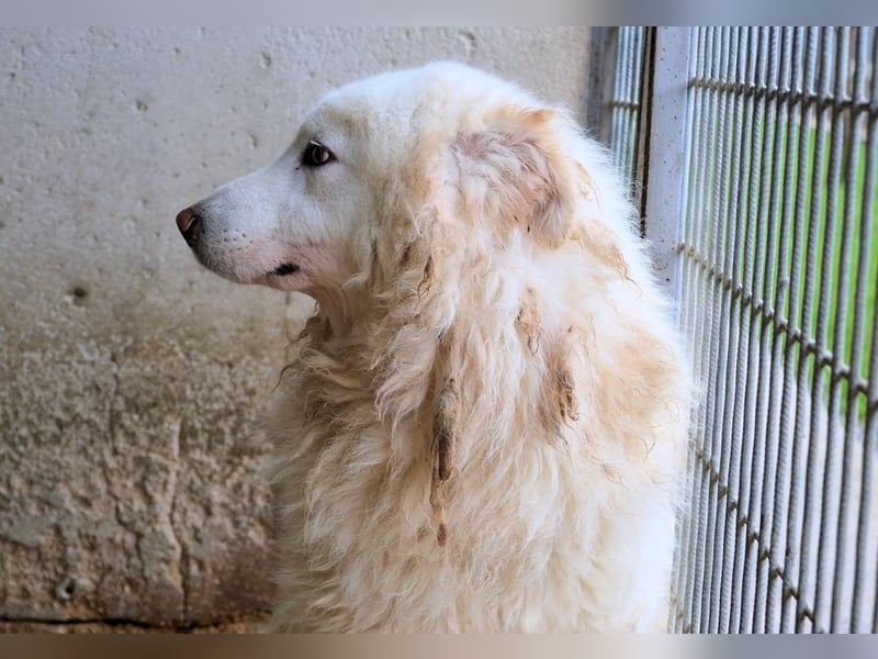 Fredrik - Was nach der Trennung kommt