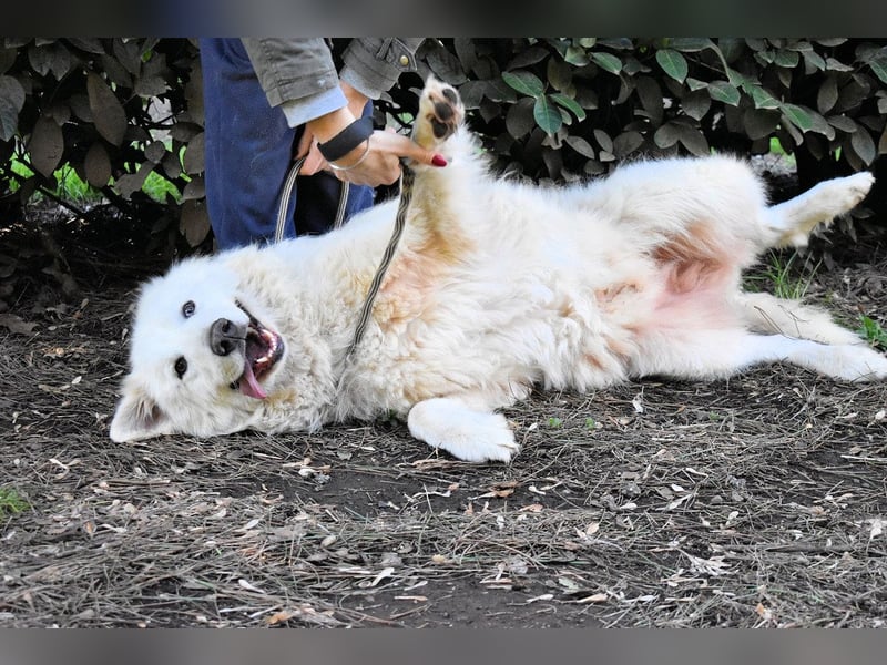 Hadriano - Viel mehr als nur einer unter vielen!