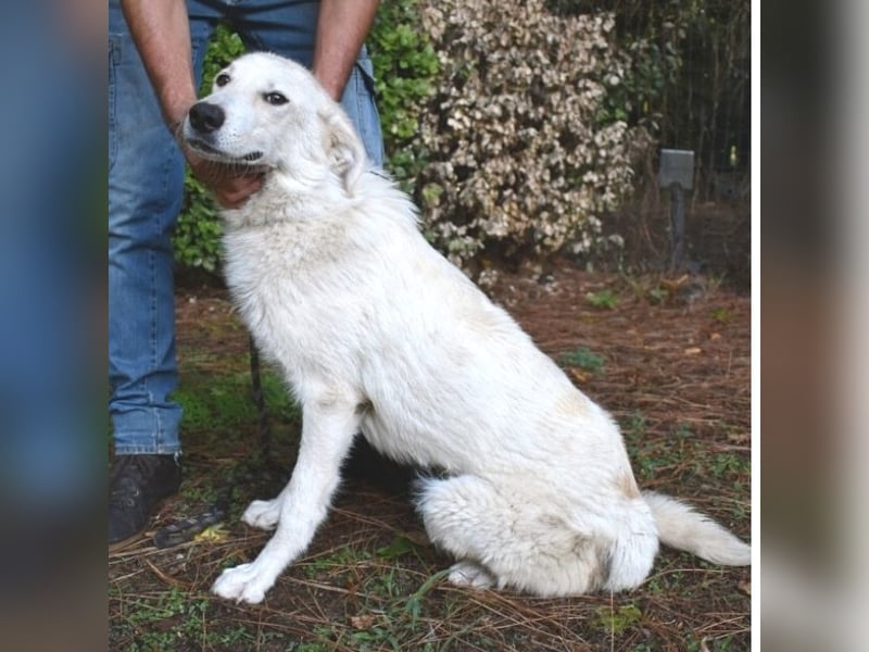 Yasmine - freundlicher Sonnenschein sucht sonniges Plätzchen