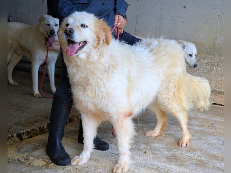 Skilah - Wenn Niemand zu Jemand wird