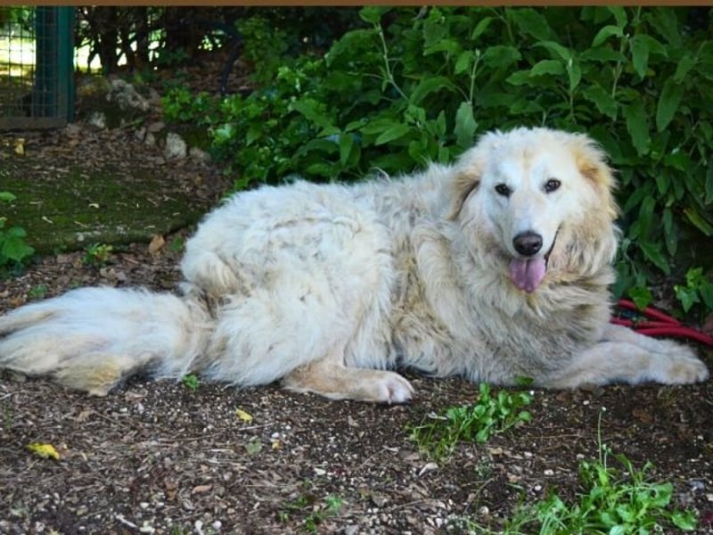 Filomela - Vom Sorgenkind zum Sonnenschein