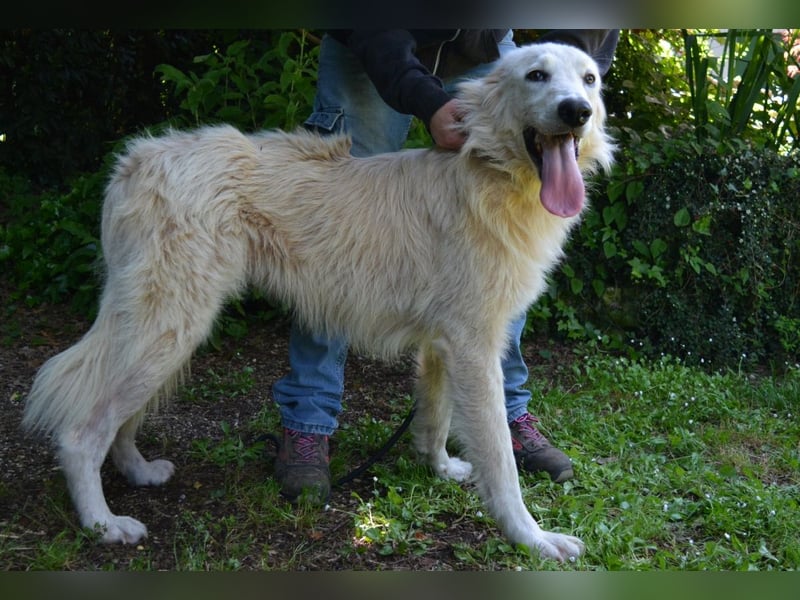 Isana - Wo ist mein neues Leben?