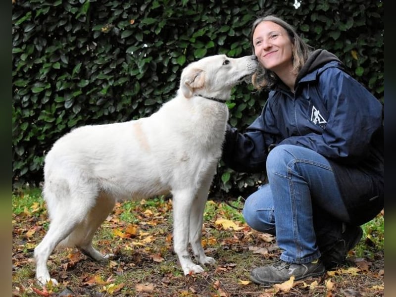 Yasmine - freundlicher Sonnenschein sucht sonniges Plätzchen