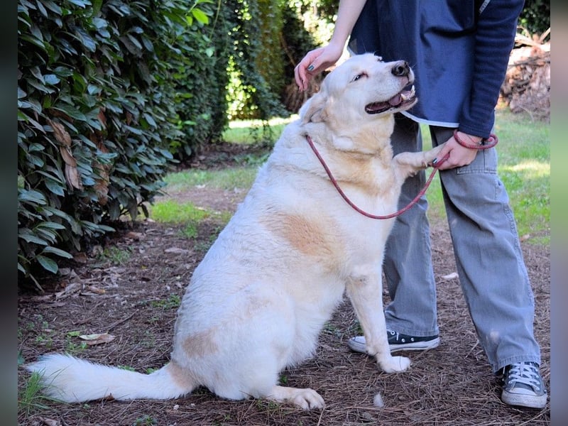 Zipper - Ein vergeudetes Leben