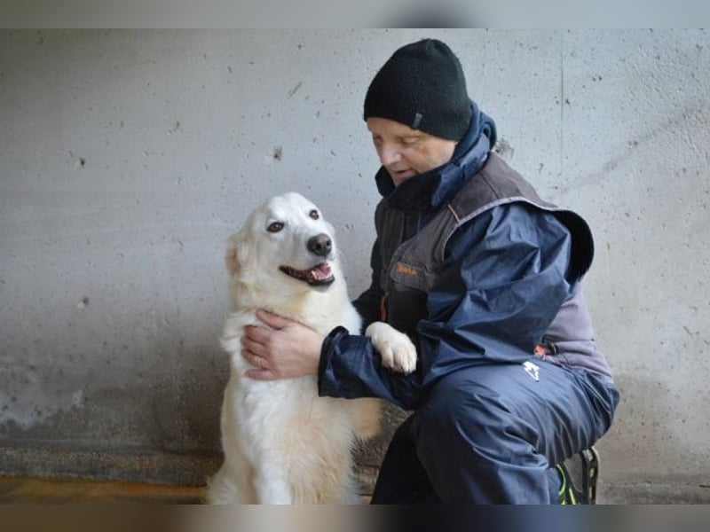 Meriwa - Doch nur wieder ein Kurzbesuch.....