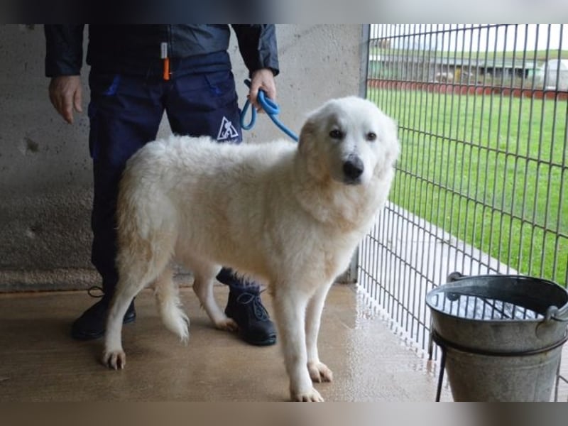 Rosvielle - Auf einer Skala von 1 bis 10....