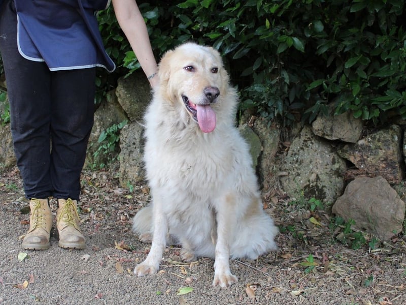 Paolo - Oh, huch, wow!!!