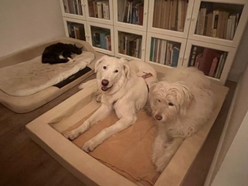 Stardust - Von der Erde zum Mond und zurück....