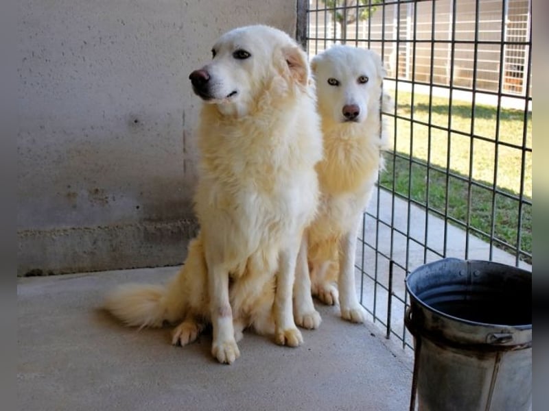 Fredrik - Was nach der Trennung kommt