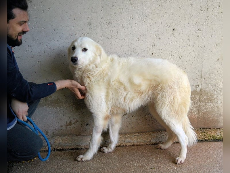 Amaya - So schön und so schrecklich?