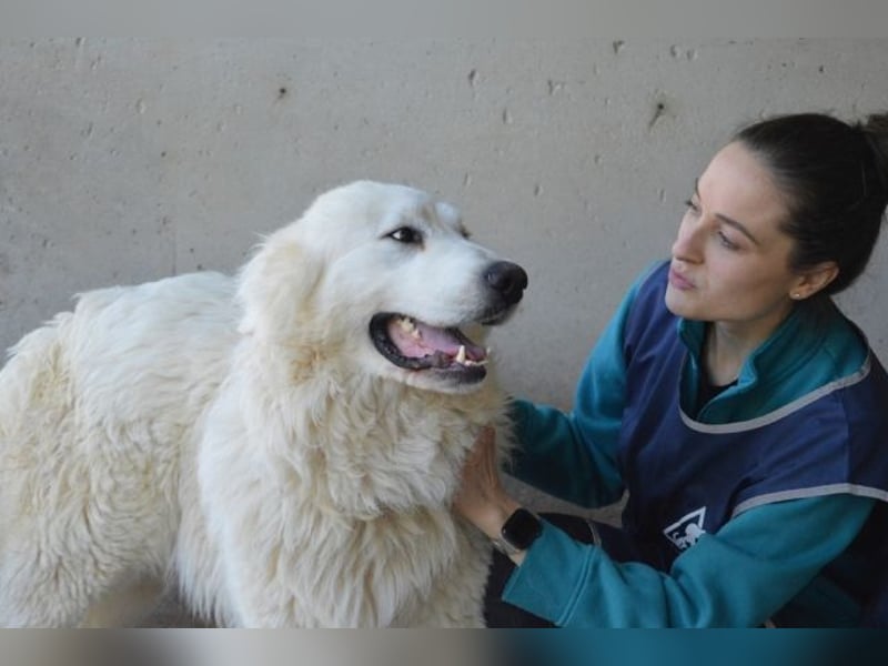 Leverett - Ich sehe was, was du (noch) nicht siehst!