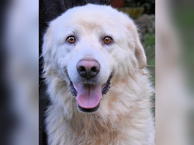 Balvin - Andere schauen bis zum Horizont