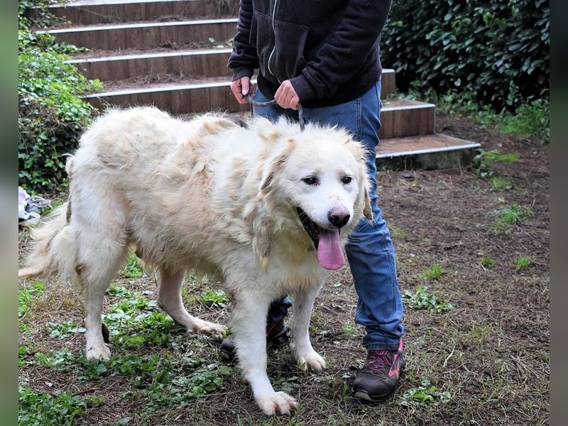 Eluard - Hoffnung auf echte Freundschaft!