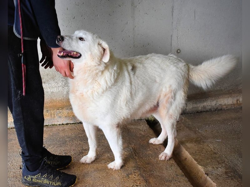 Sallustio - Der Sinn des Lebens