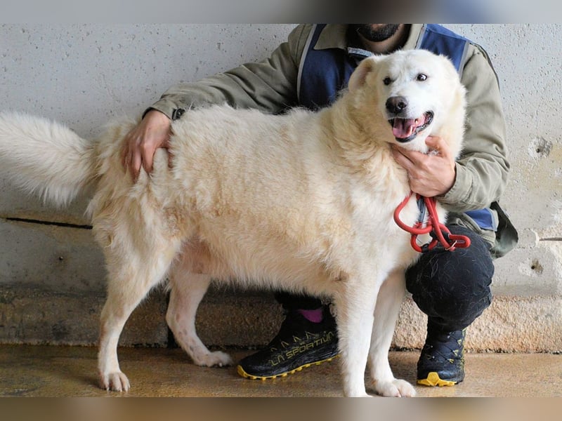 Sallustio - Der Sinn des Lebens