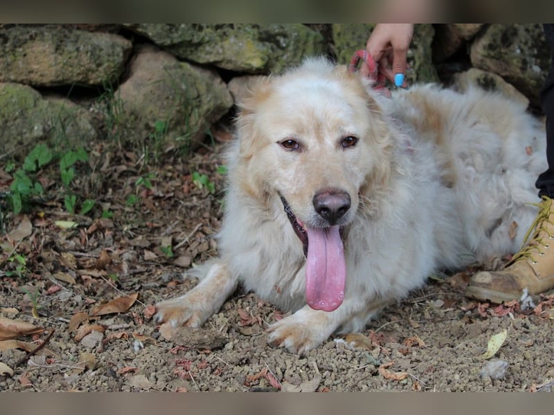 Paolo - Oh, huch, wow!!!