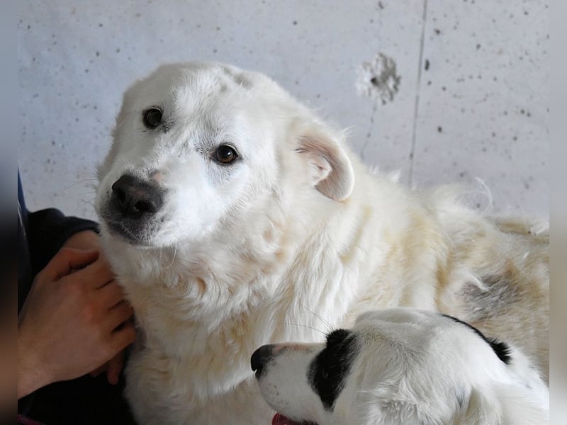 Sallustio - Der Sinn des Lebens