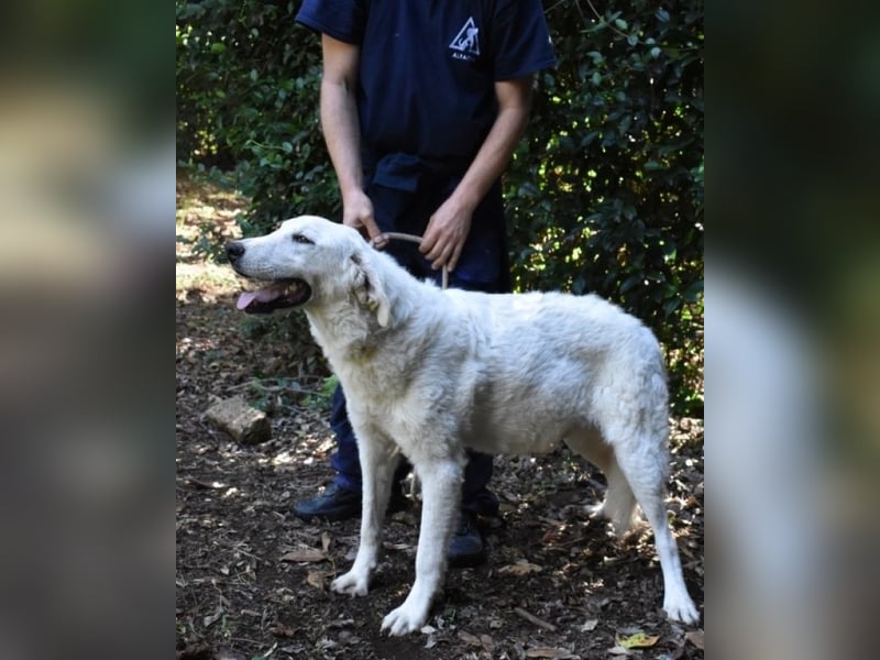 Dayton - niemals ist eine schrecklich lange Zeit