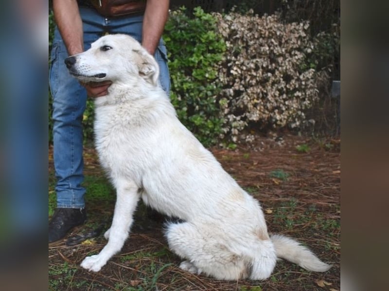 Yasmine - freundlicher Sonnenschein sucht sonniges Plätzchen