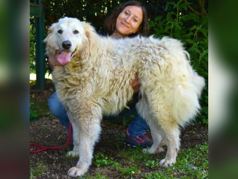 Filomela - Vom Sorgenkind zum Sonnenschein