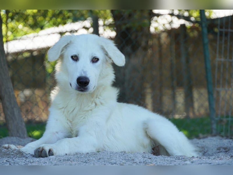 Madea - in ihrer ganzen Schönheit