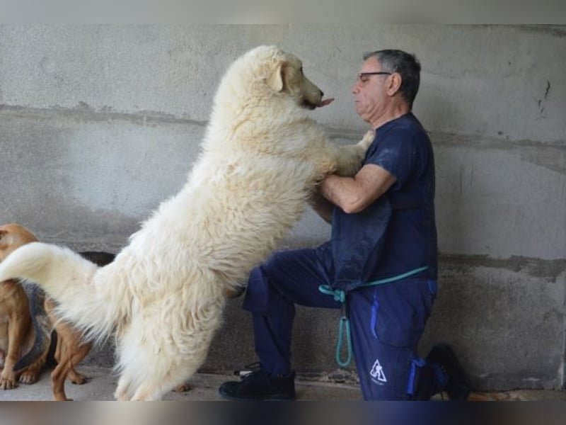 Quebry - Es ist, was es ist...