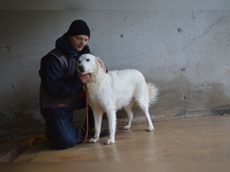 Meriwa - Doch nur wieder ein Kurzbesuch.....