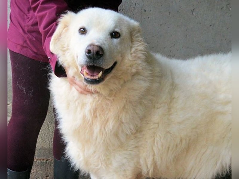 Albertone - Alles, alles Gute!!!