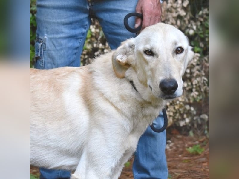 Yannick - eine zweite Kindheit?