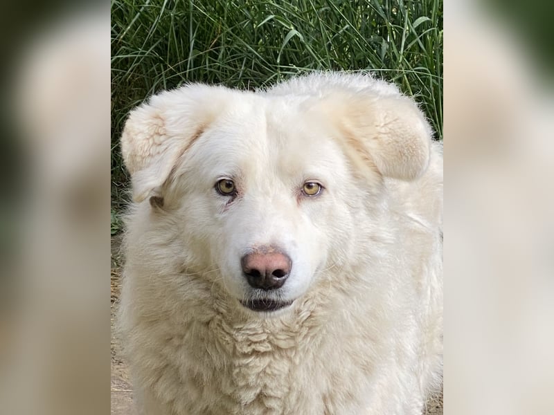 Sindbad - Zwischen Vorsicht und Vertrauen