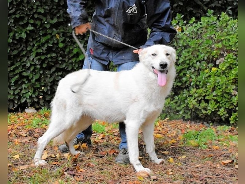 Yasmine - freundlicher Sonnenschein sucht sonniges Plätzchen