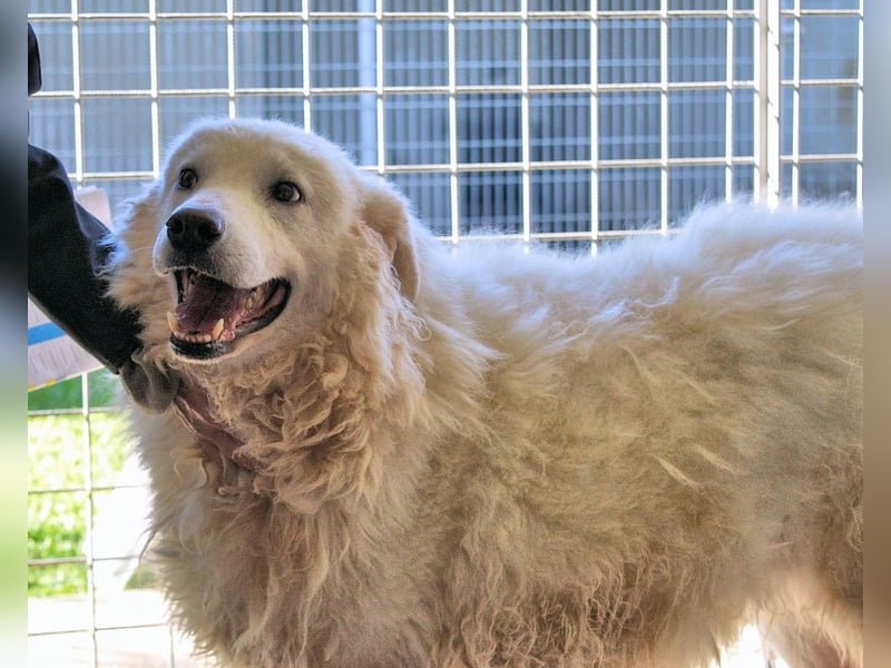 Albertone - Alles, alles Gute!!!