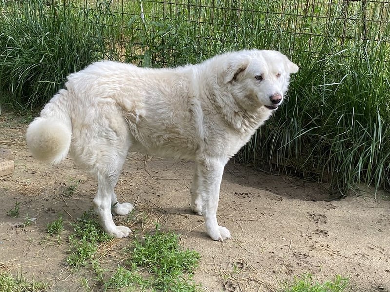 Sindbad - Zwischen Vorsicht und Vertrauen