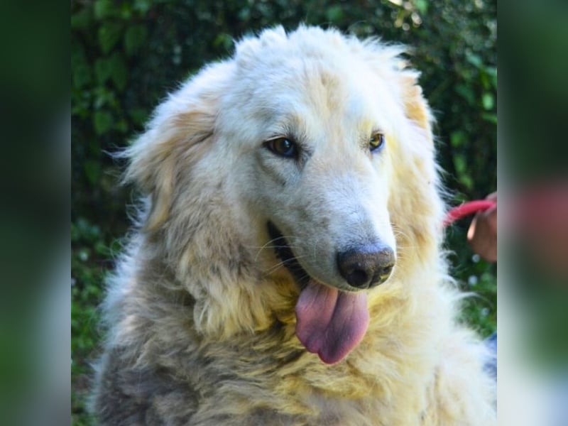 Filomela - Vom Sorgenkind zum Sonnenschein