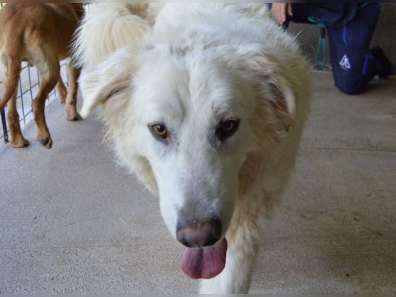 Quebry - Es ist, was es ist...