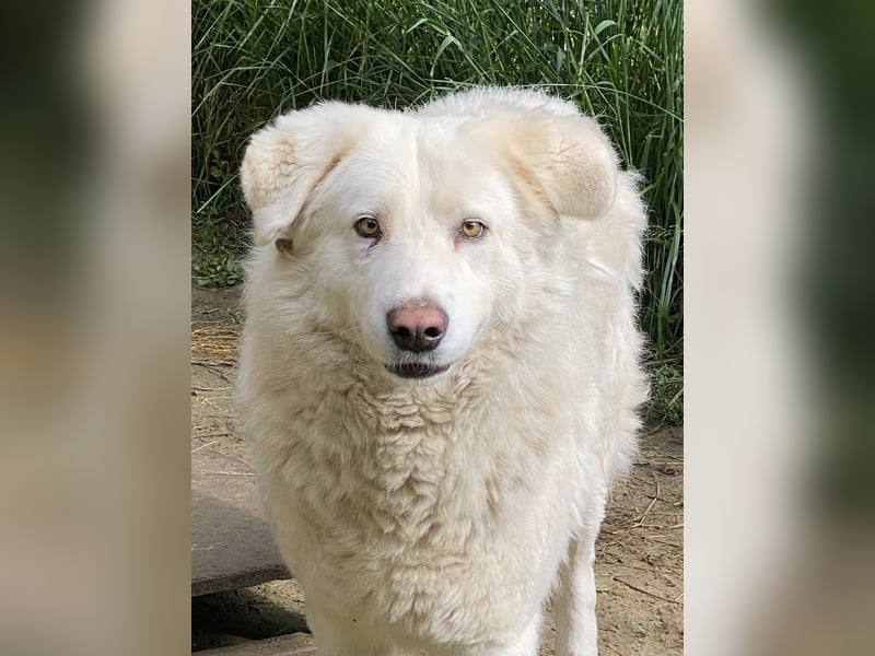 Sindbad - Zwischen Vorsicht und Vertrauen