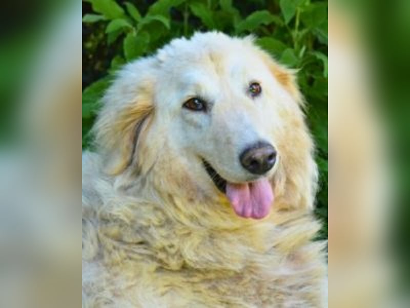 Filomela - Vom Sorgenkind zum Sonnenschein