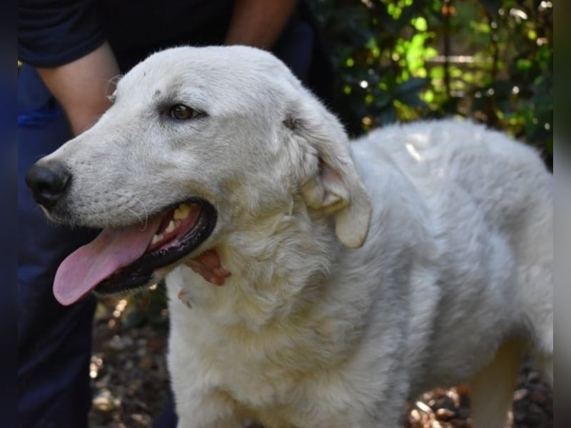 Dayton - niemals ist eine schrecklich lange Zeit