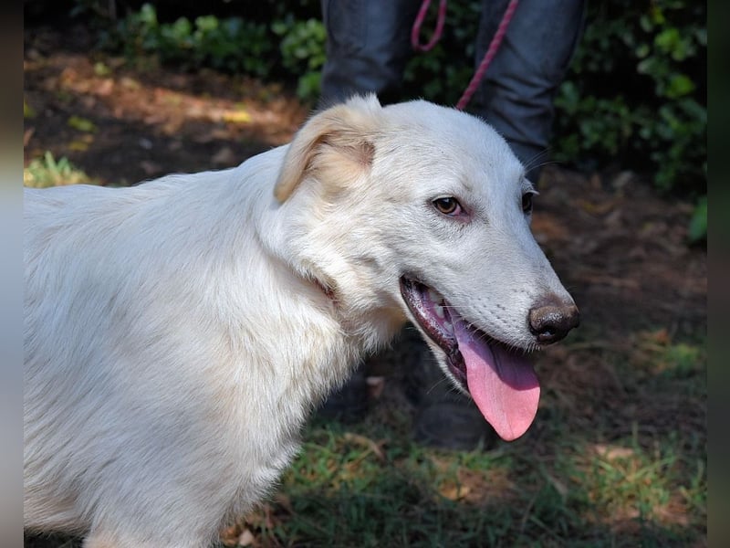 Isana - Wo ist mein neues Leben?