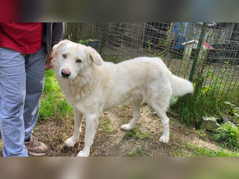 Sindbad - Zwischen Vorsicht und Vertrauen