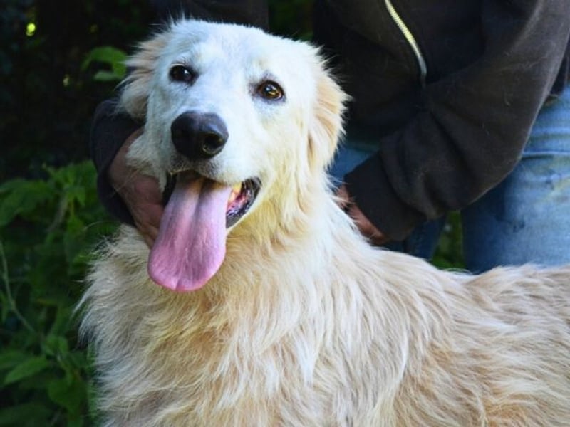 Isana - Wo ist mein neues Leben?