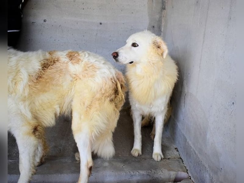 Fredrik - Was nach der Trennung kommt