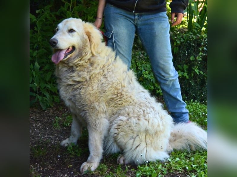 Filomela - Vom Sorgenkind zum Sonnenschein