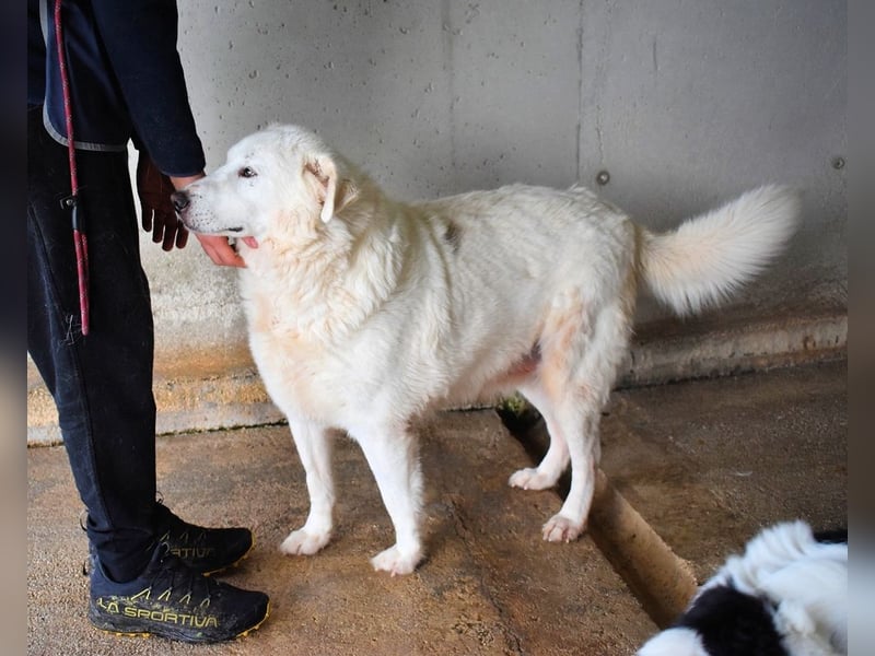 Sallustio - Der Sinn des Lebens